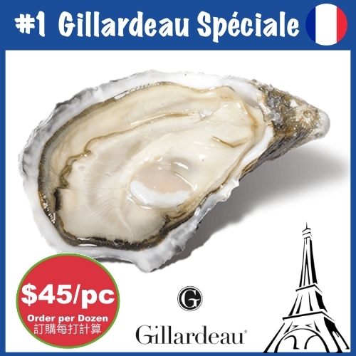 1 French Gillardeau Spéciale Live Oyster, Size 11013
