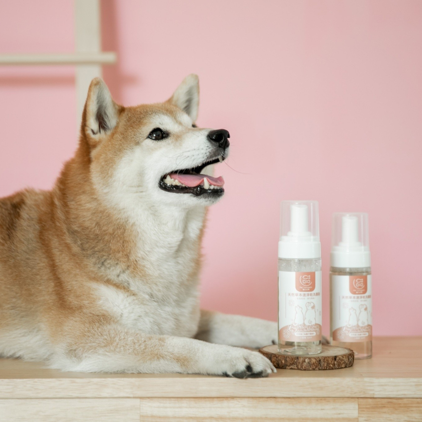 肉球乾裂｜天然草本速淨乾洗慕斯 - 小蒼蘭｜負離子電解｜毛孩肌膚護理- PetTomodachi