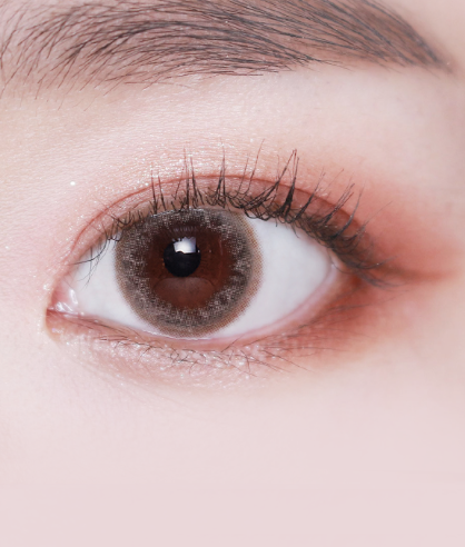 LensVery Blush 季拋彩妝隱形眼鏡｜每盒1片 ( Brown )