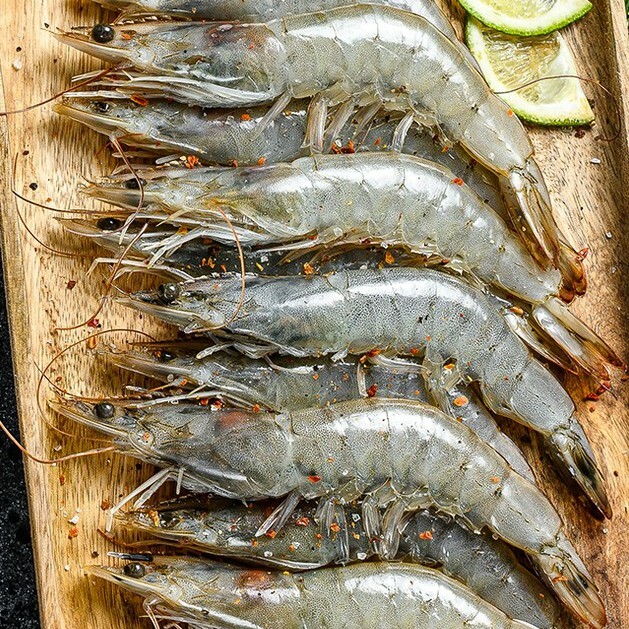 鮮嫩金牌SPA白蝦