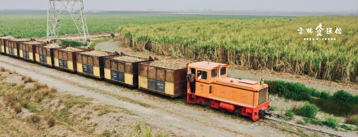 雲林食通信-春-糖刊-三小市集