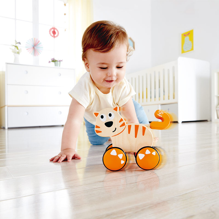 Hape Dante Push and Go, E0363