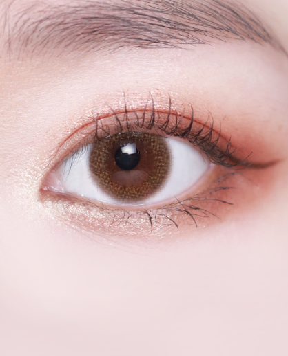 LensVery Sarr 季拋彩妝隱形眼鏡｜每盒1片 ( Brown )