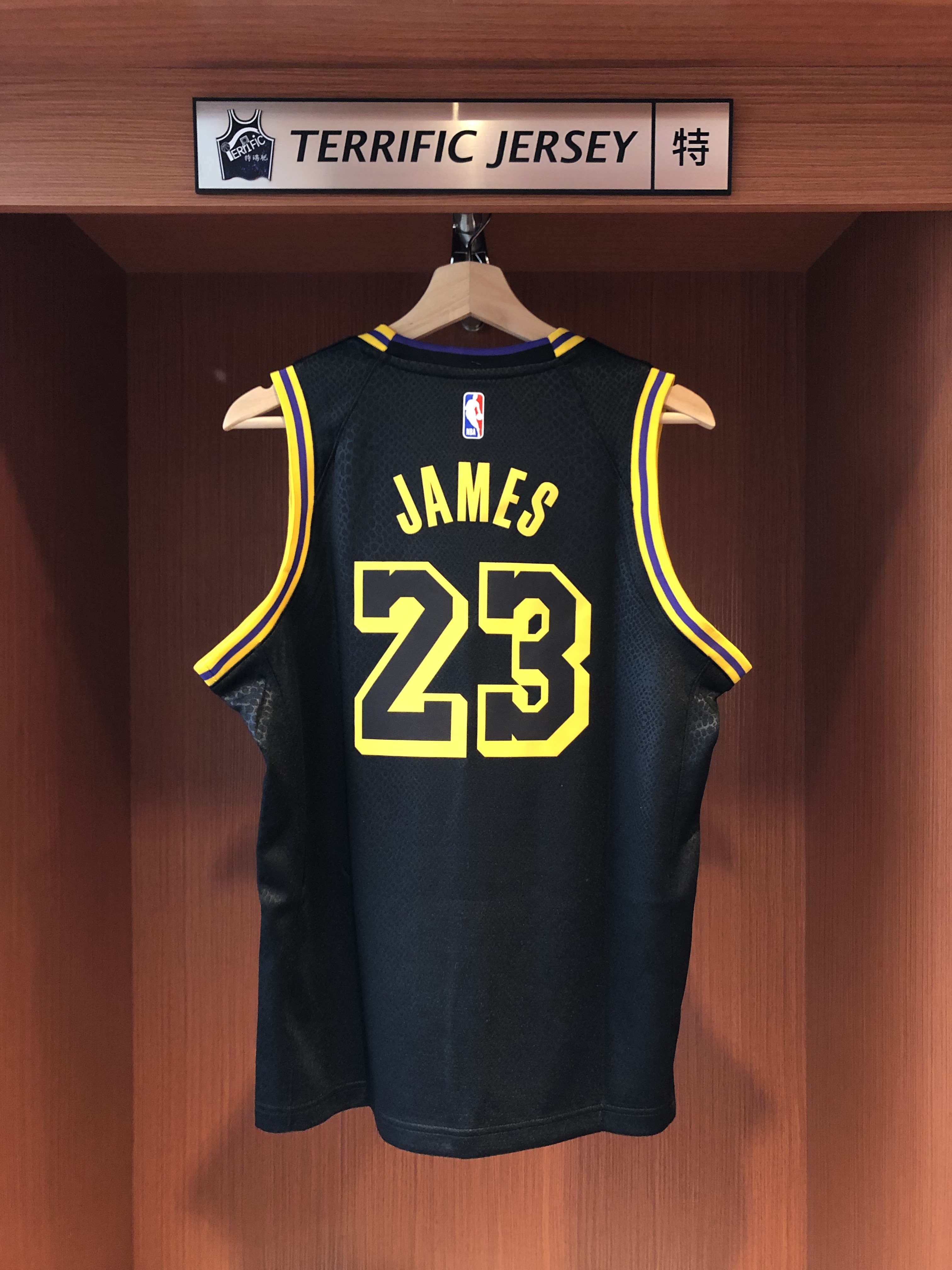 NBA球衣 Lebron James 洛杉磯湖人城市 蛇紋 17-18城市 City Nike Youth Swingman 球迷版 青年版 熱轉印 全新