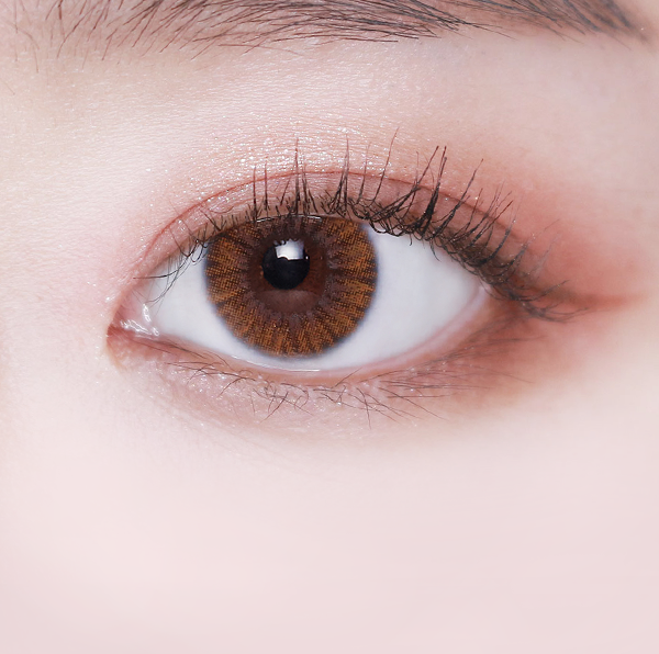 LensVery Pin-up 季拋彩妝隱形眼鏡｜每盒1片 ( Brown )