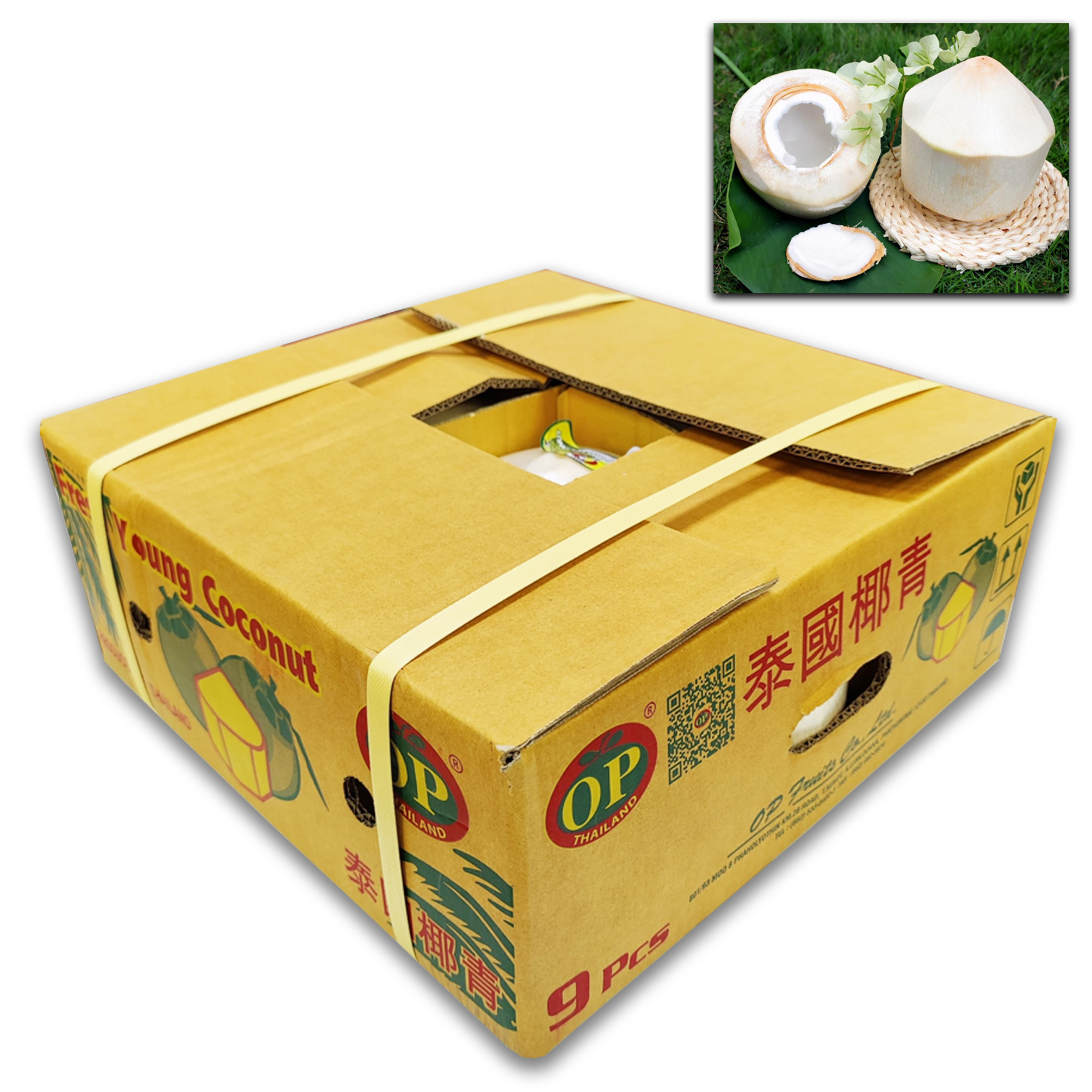 泰國椰青 [原箱]