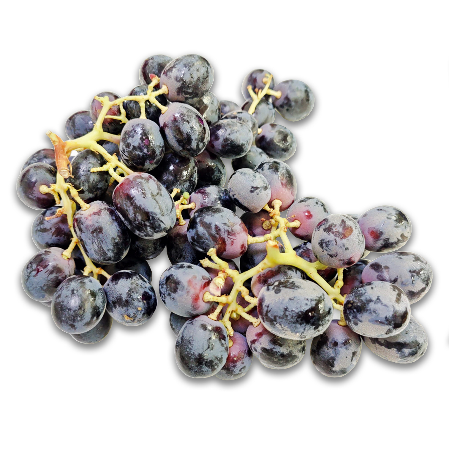 澳洲 貓眼黑提 [ 1.5 磅]