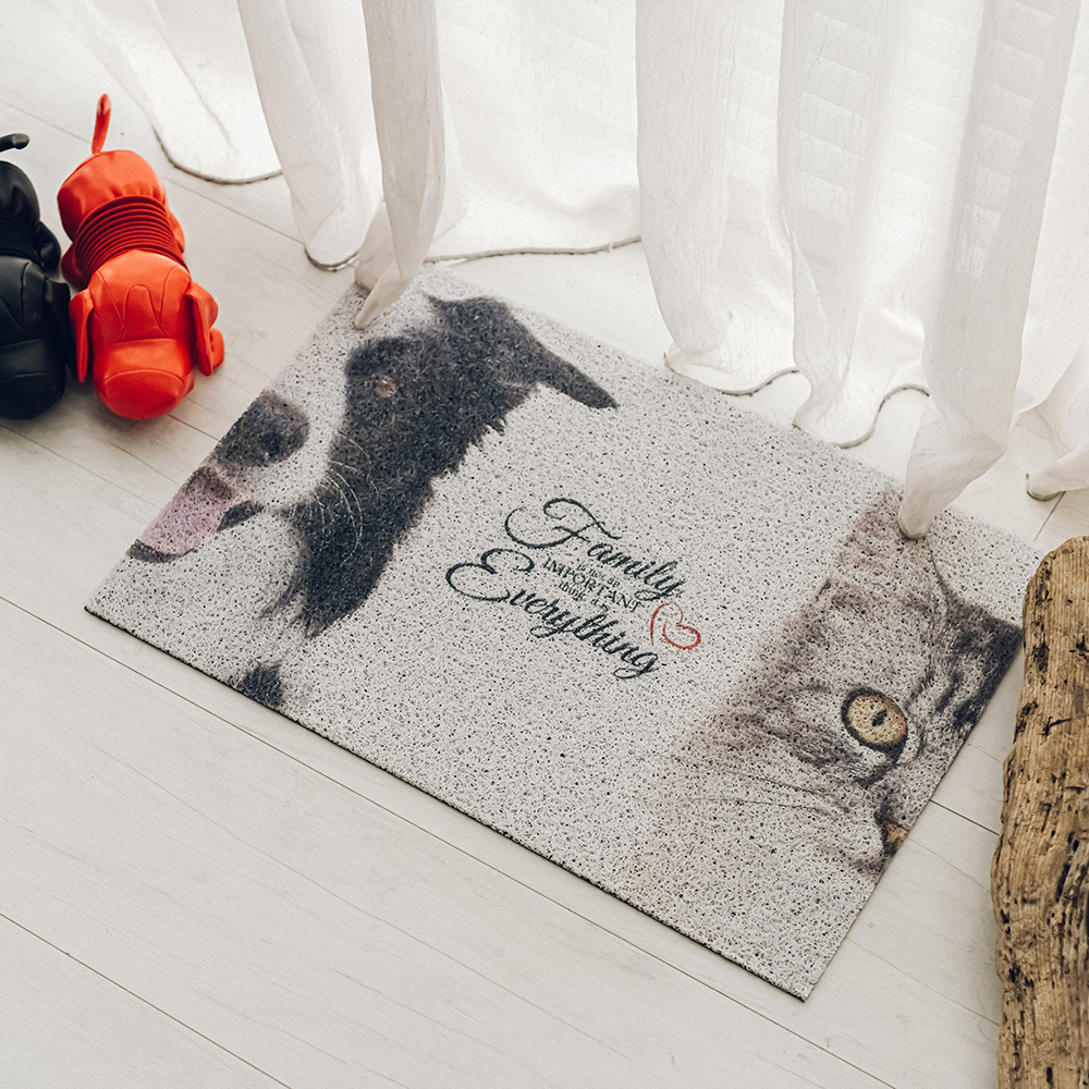 台灣 Dayneeds｜萌寵絲圈地墊 90x60cm