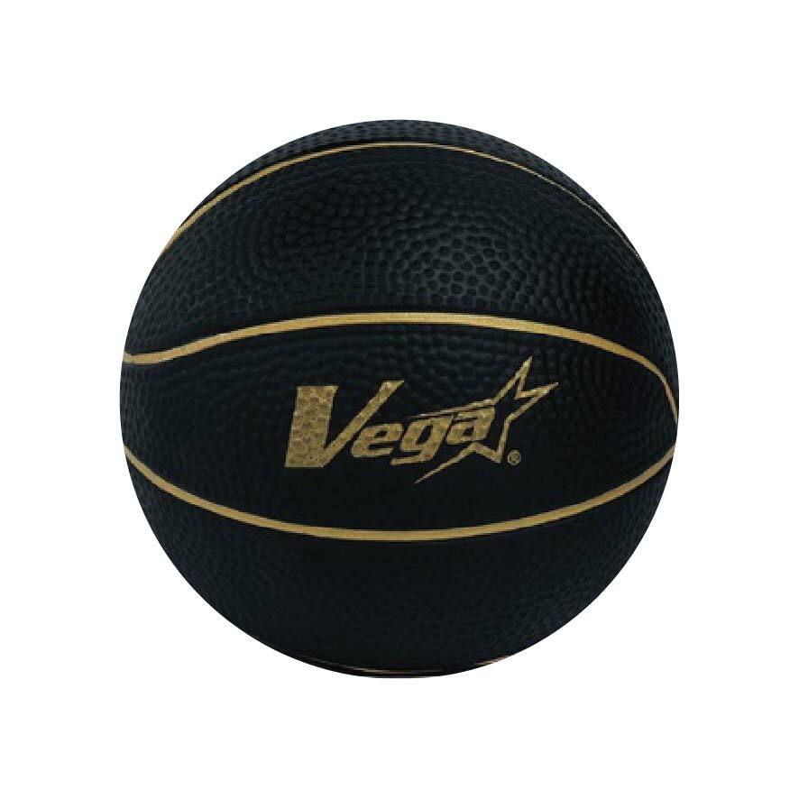 【VEGA】訓練用沙球(2磅) VGB-29S02