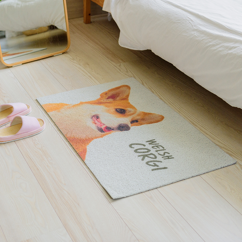 台灣 Dayneeds｜萌寵絲圈地墊 45X65cm