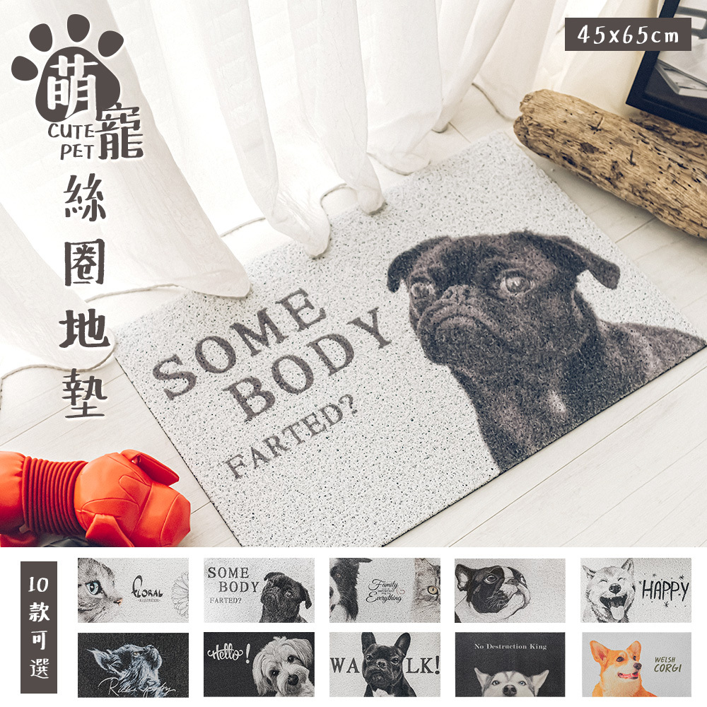 台灣 Dayneeds｜萌寵絲圈地墊 45X65cm