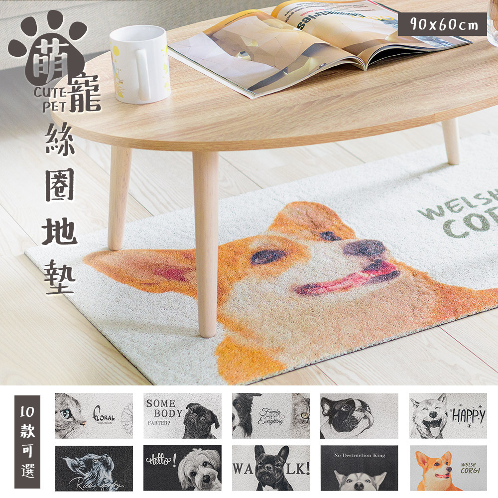 台灣 Dayneeds｜萌寵絲圈地墊 90x60cm
