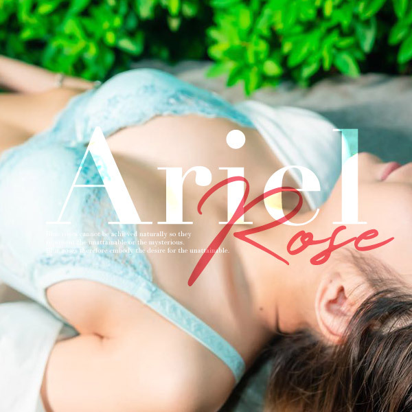 艾麗兒玫瑰。在心窩種幾朵妖嬈玫瑰-ming推薦。A.B.C罩