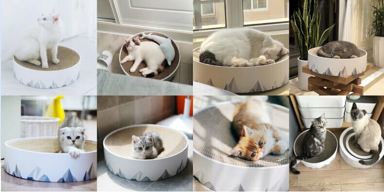 pidan 山谷貓抓板