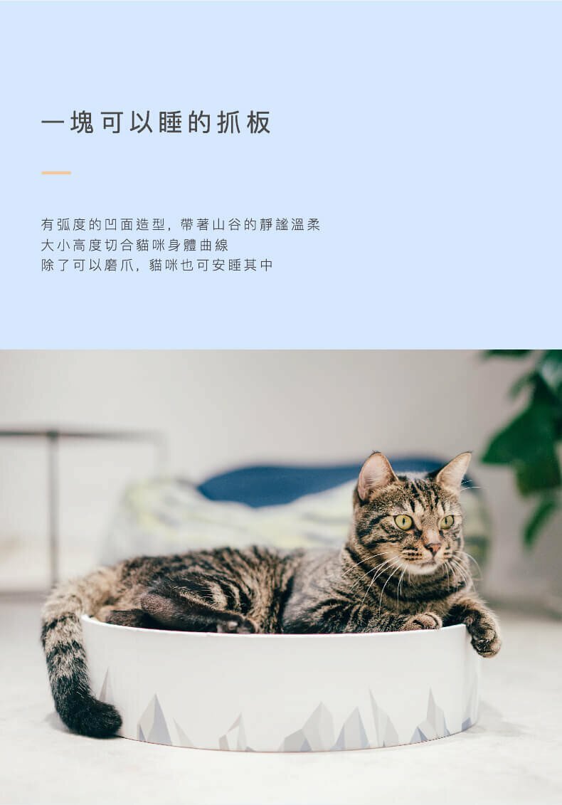 pidan 山谷貓抓板