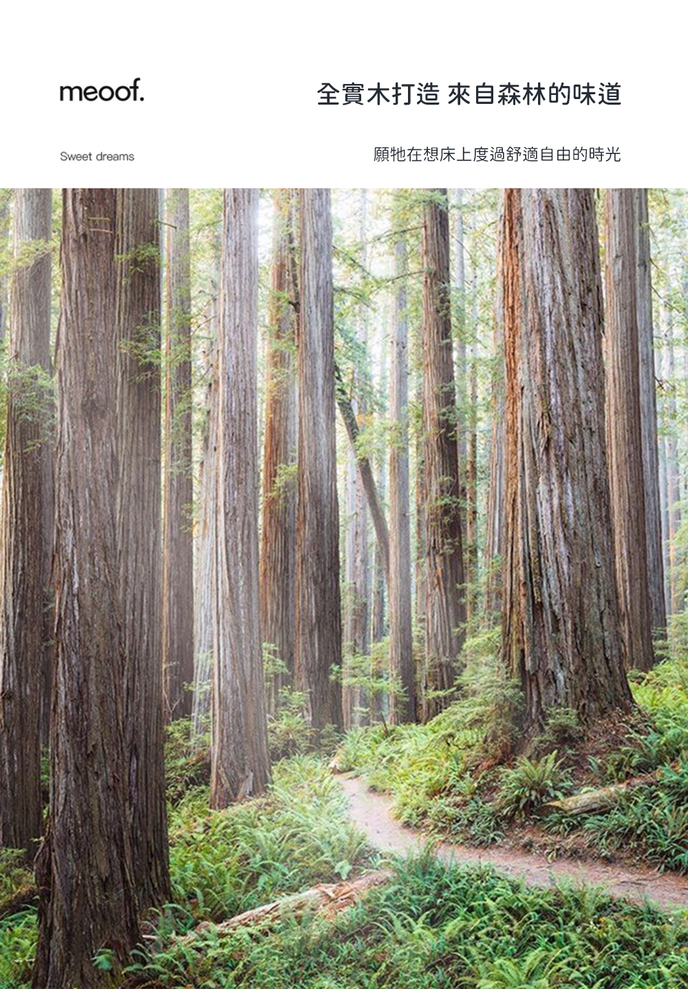 meoof 寵物木製可愛小床