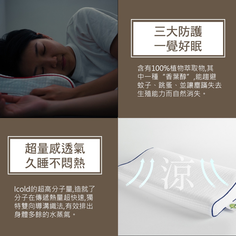 捲捲舒 壽司枕 旗艦款 Premium