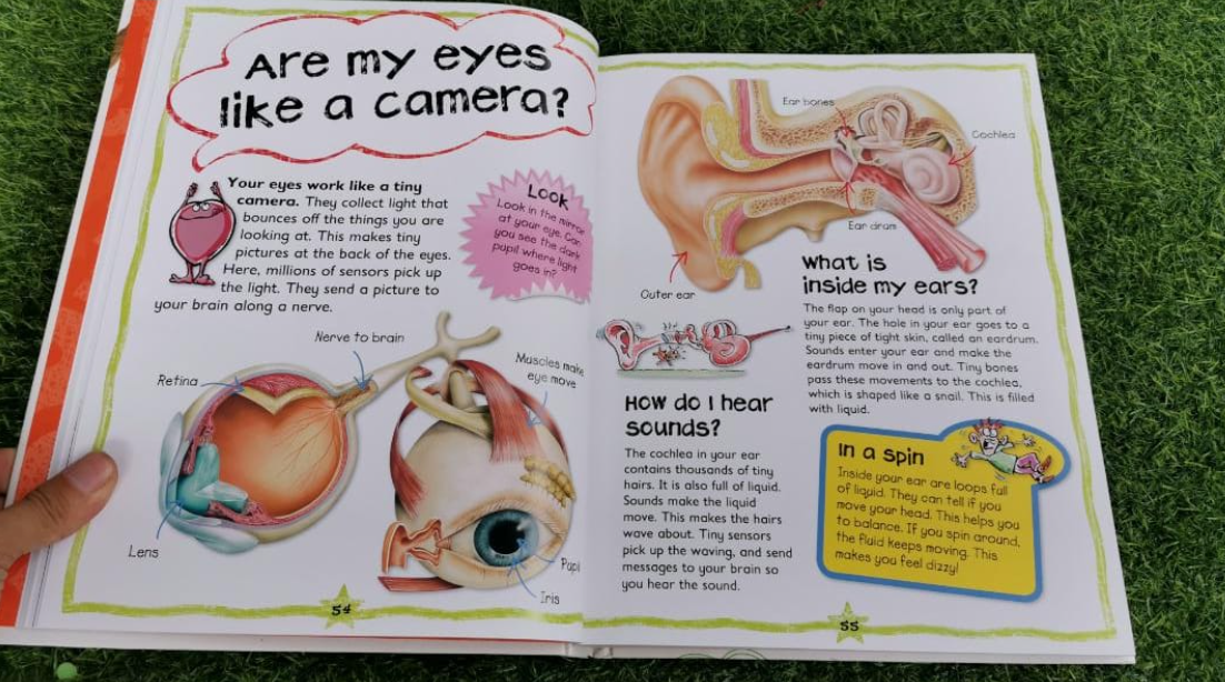 Miles Kelly My Fun Book Of Questions and Answers (Hardcover)