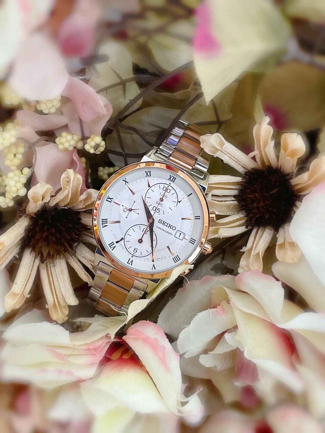 【SEIKO 精工】CS系列 彩漾三眼計時女錶 7T92-0VP0U 37mm 現代鐘錶