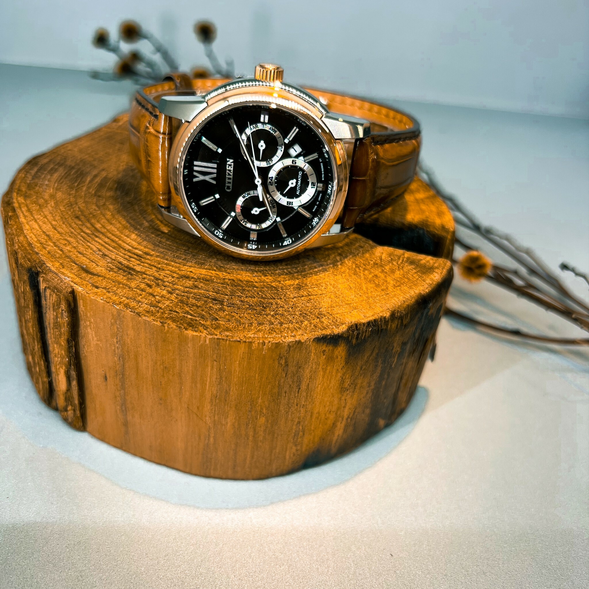 【CITIZEN】NB2000-86L / NB2000-86E / NB2004-18W 42mm Modern Watch