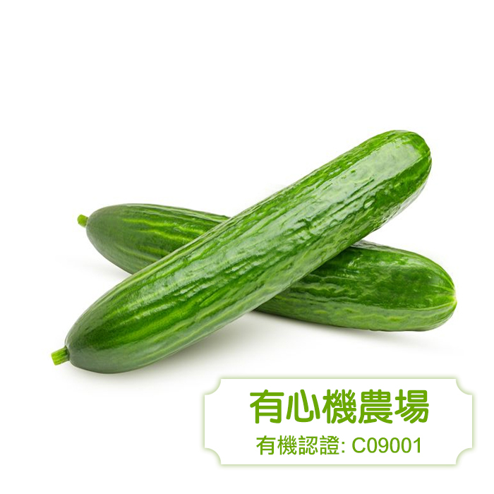 [有心機] 有機迷你青瓜 300g