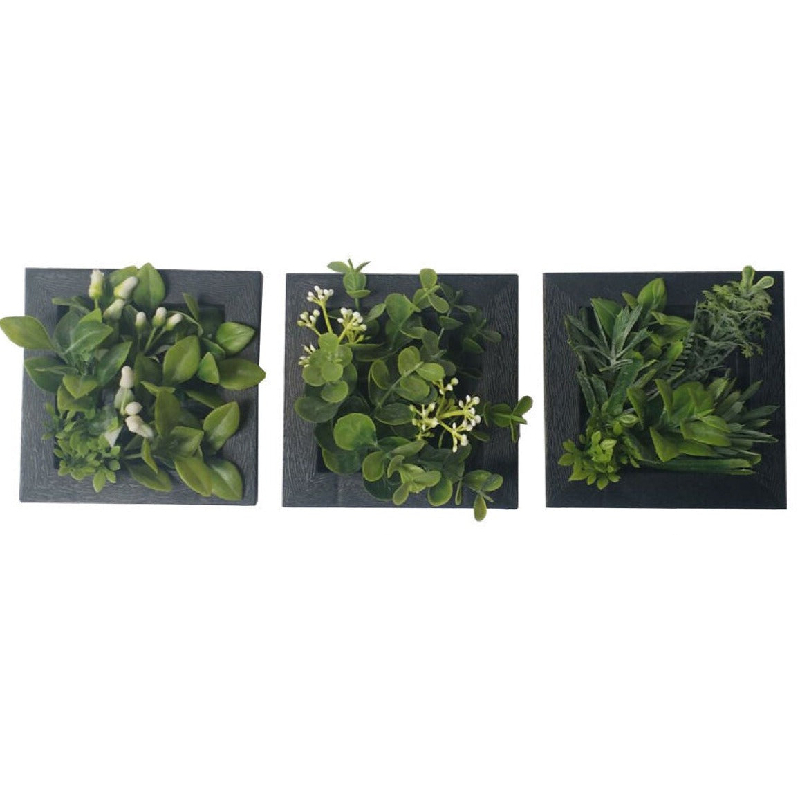 裝飾壁掛植栽