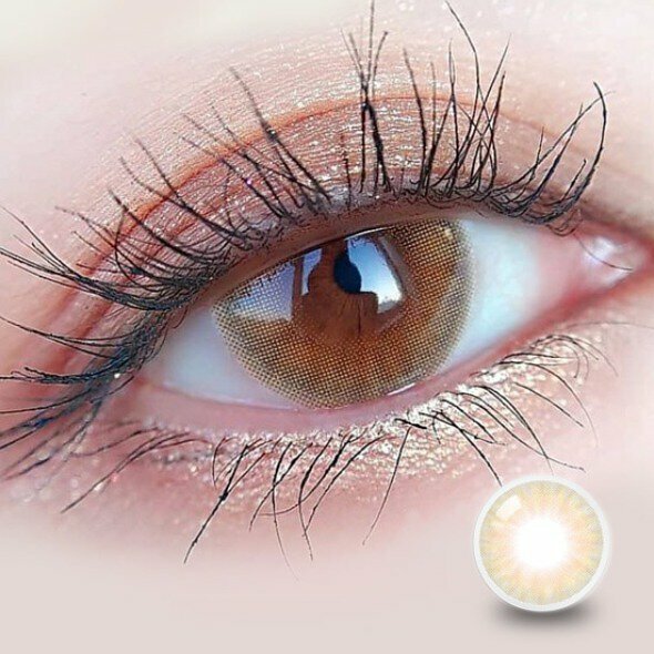 [預訂] OLOLA 1 Month A.Muse 月拋棄彩妝隱形眼鏡｜每盒1片 ( Brown )