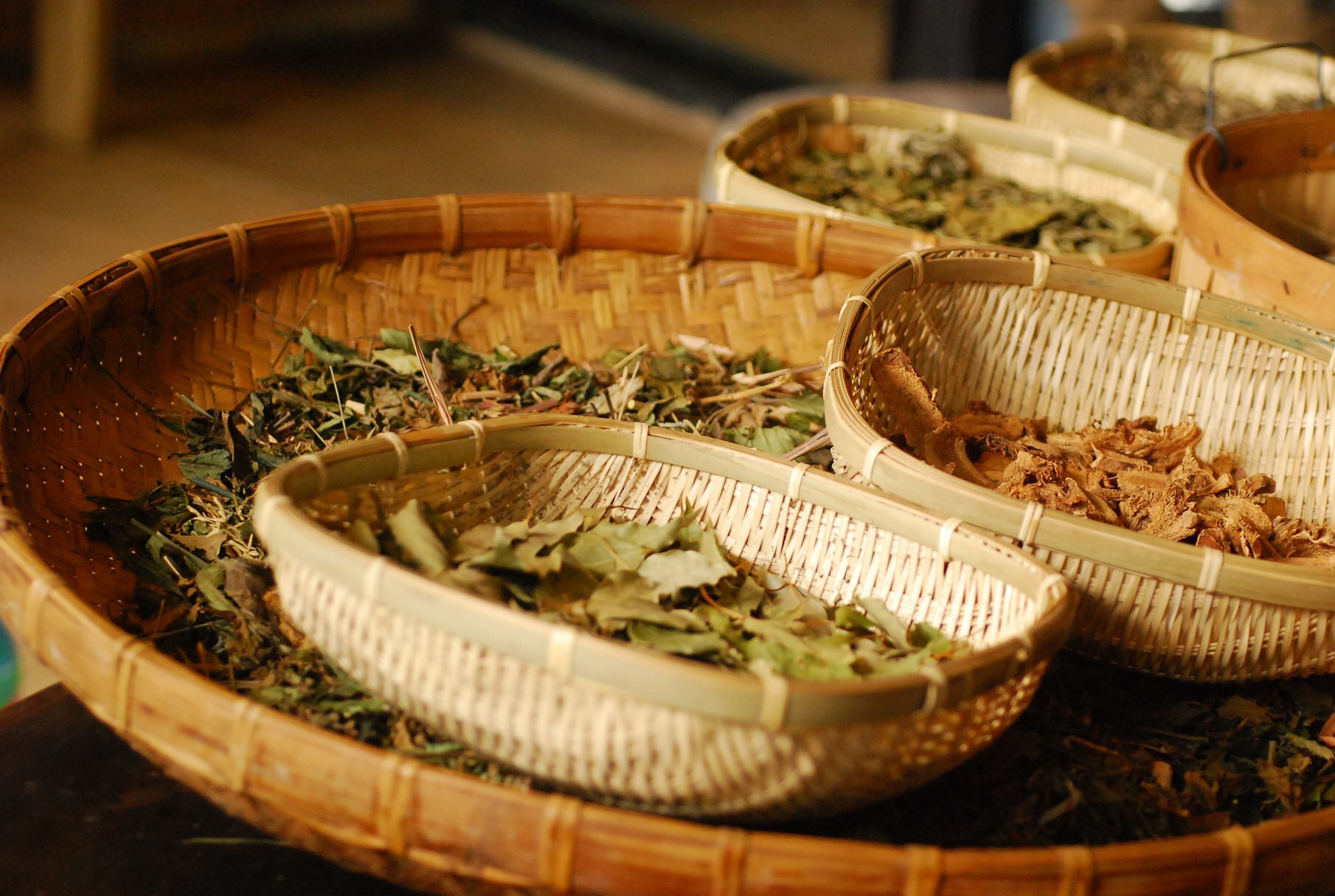 【已結束】工作坊｜雙人票｜南方植物學－做一顆泰式古法藥草球