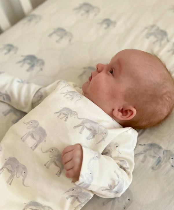 Pehr-Follow Me長袖包屁衣(Elephant)