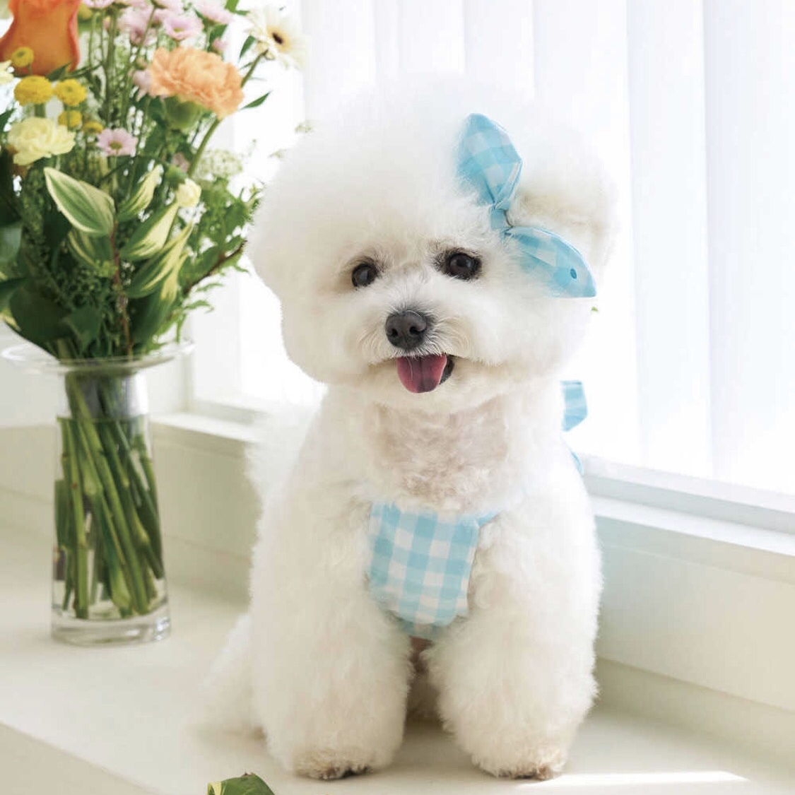 薄棉大絲帶格紋背心-水藍-Summer Ribbon  It’s sunny outside