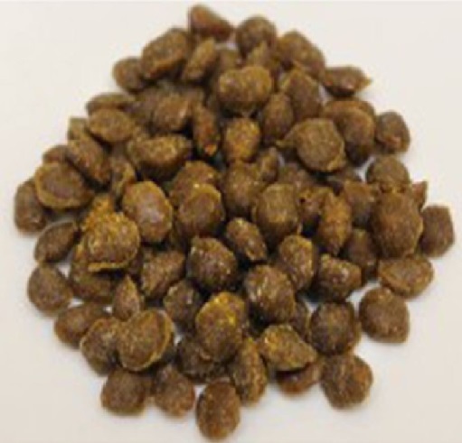 北海道直送 EZO 鹿肉糙米半濕糧1kg(100g x 10包) - 綜合營養 (主食)
