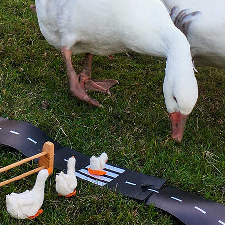 Waytoplay-草地也能玩