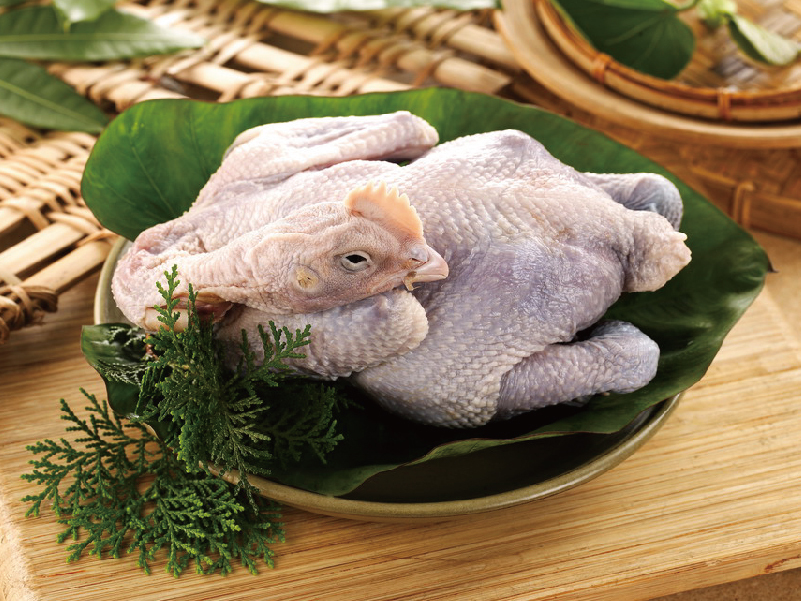 黃金土雞-小土雞