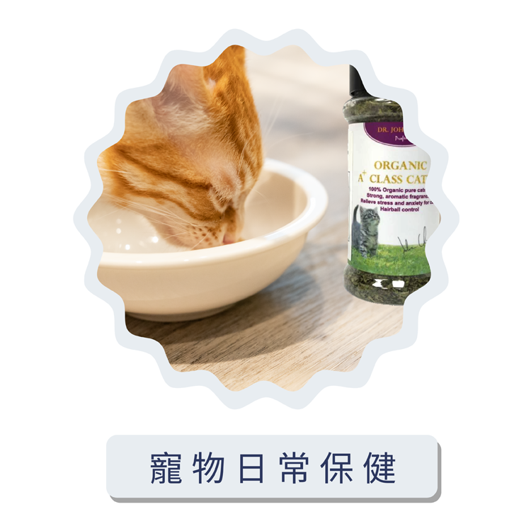 貓,健康,專業,獸醫,健康食品,寵物健康筆記,貓草,牛磺酸