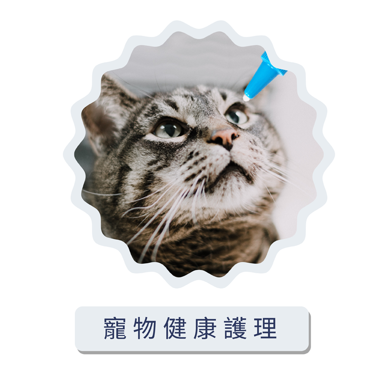 貓,狗,健康,專業,獸醫,保建品,寵物健康筆記,眼速明,眼速康,JVET