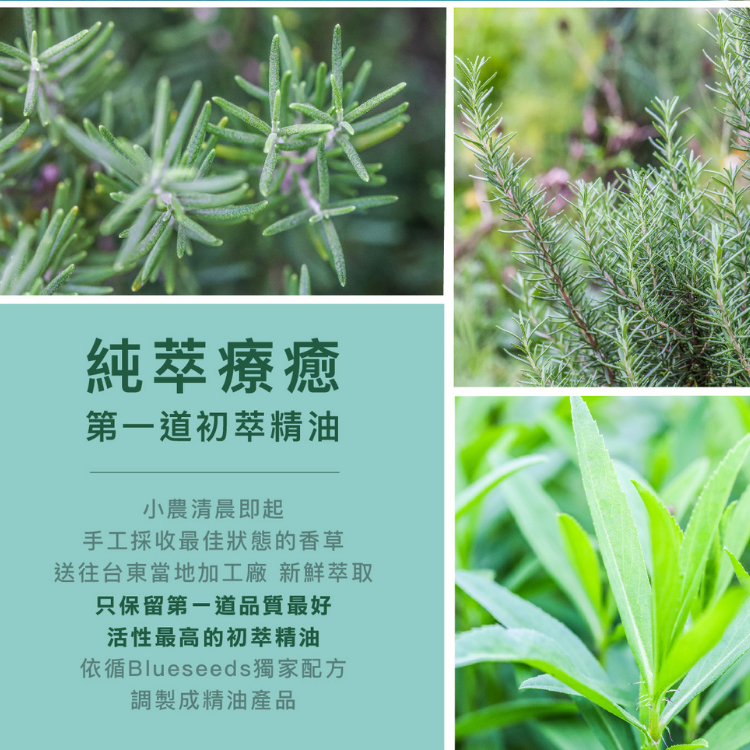 【一夜好眠】安眠加強複方精油組 (安眠複方精油滴瓶10ml+舒眠複方精油滾珠5ml)