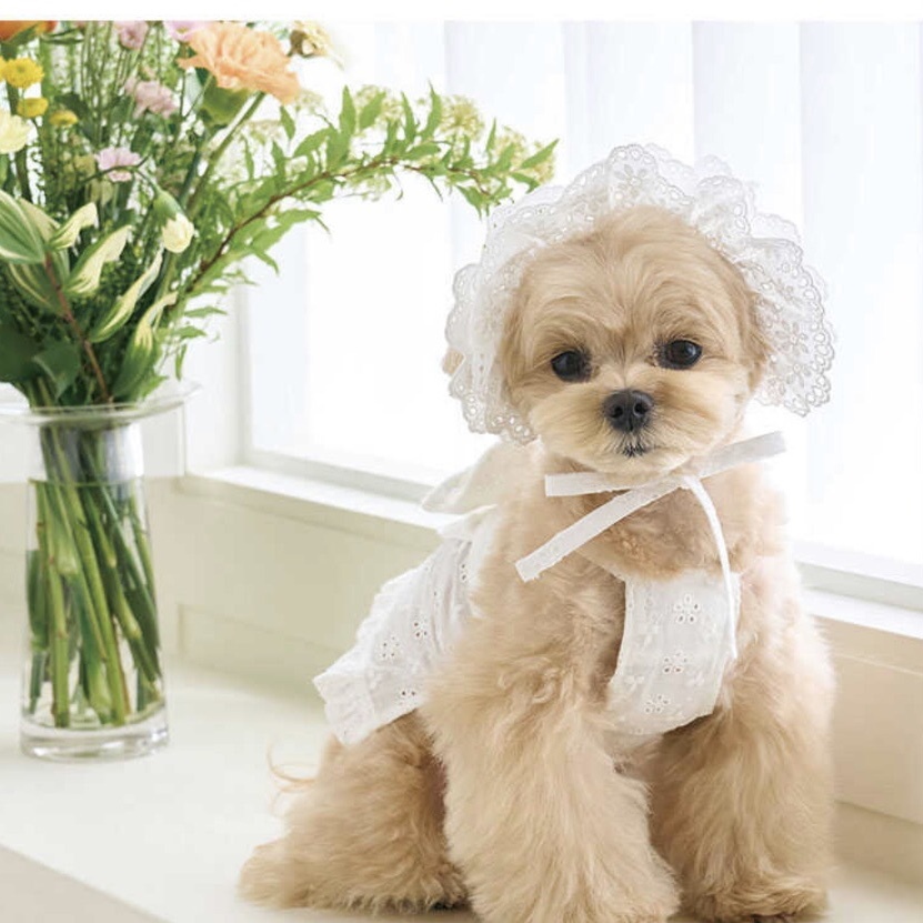 薄棉大絲帶背心-白色Summer Ribbon -It’s sunny outside