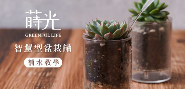 植物罐澆水教學