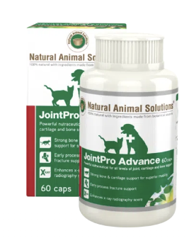 Natural Animal Solutions (NAS) 強效全方位骨骼靈（60粒）