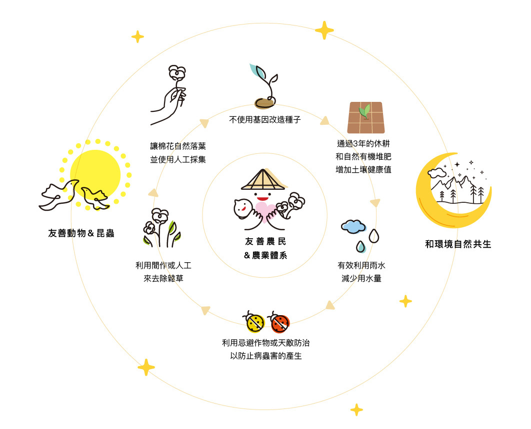 有機棉,organic,cotton