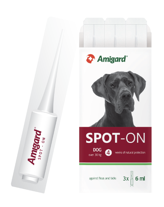 Amigard 安格 犬用 天然防蝨滴 - 30kg以上