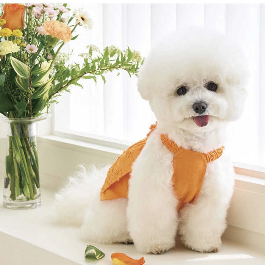 Blooming 亞麻蕾絲花朵裙-Orange橙-It’s sunny outside