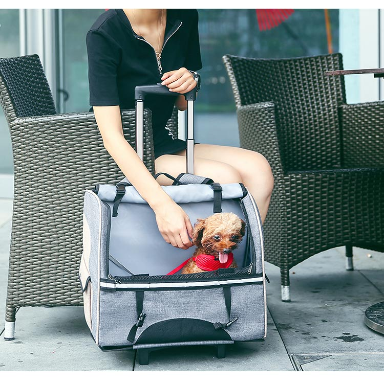 DODOPET拉杆包（双肩背包，车载）