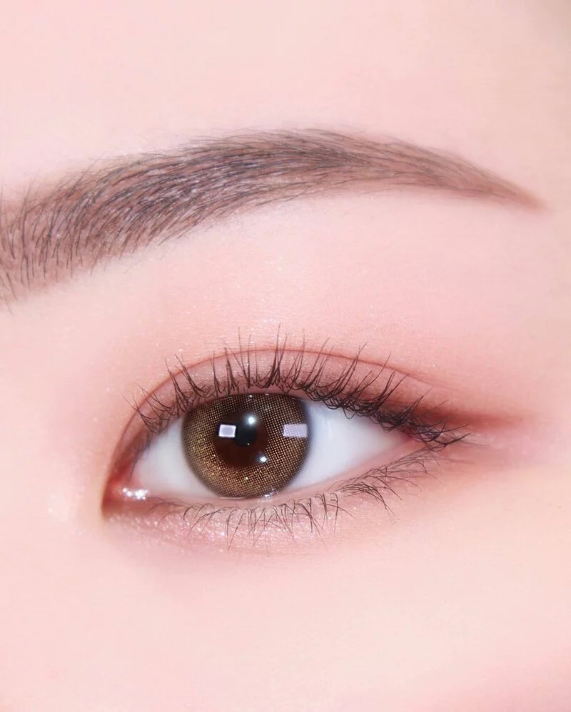 LensMe Eyedew Monthly (Tone Up Brown)