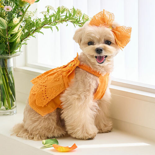 Blooming 亞麻蕾絲花朵裙-Orange橙-It’s sunny outside