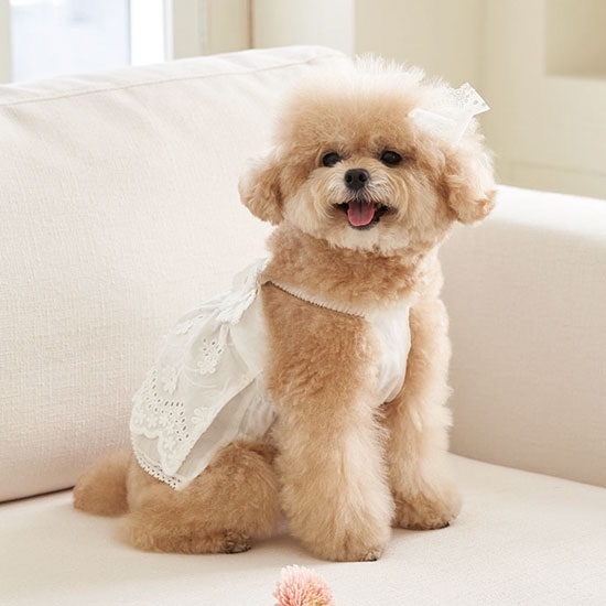 Blooming 亞麻蕾絲花朵裙-White白色- It’s sunny outside