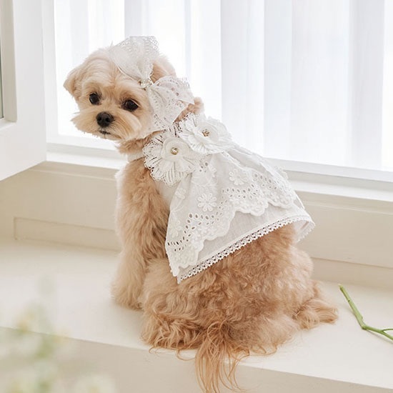 Blooming 亞麻蕾絲花朵裙-White白色- It’s sunny outside