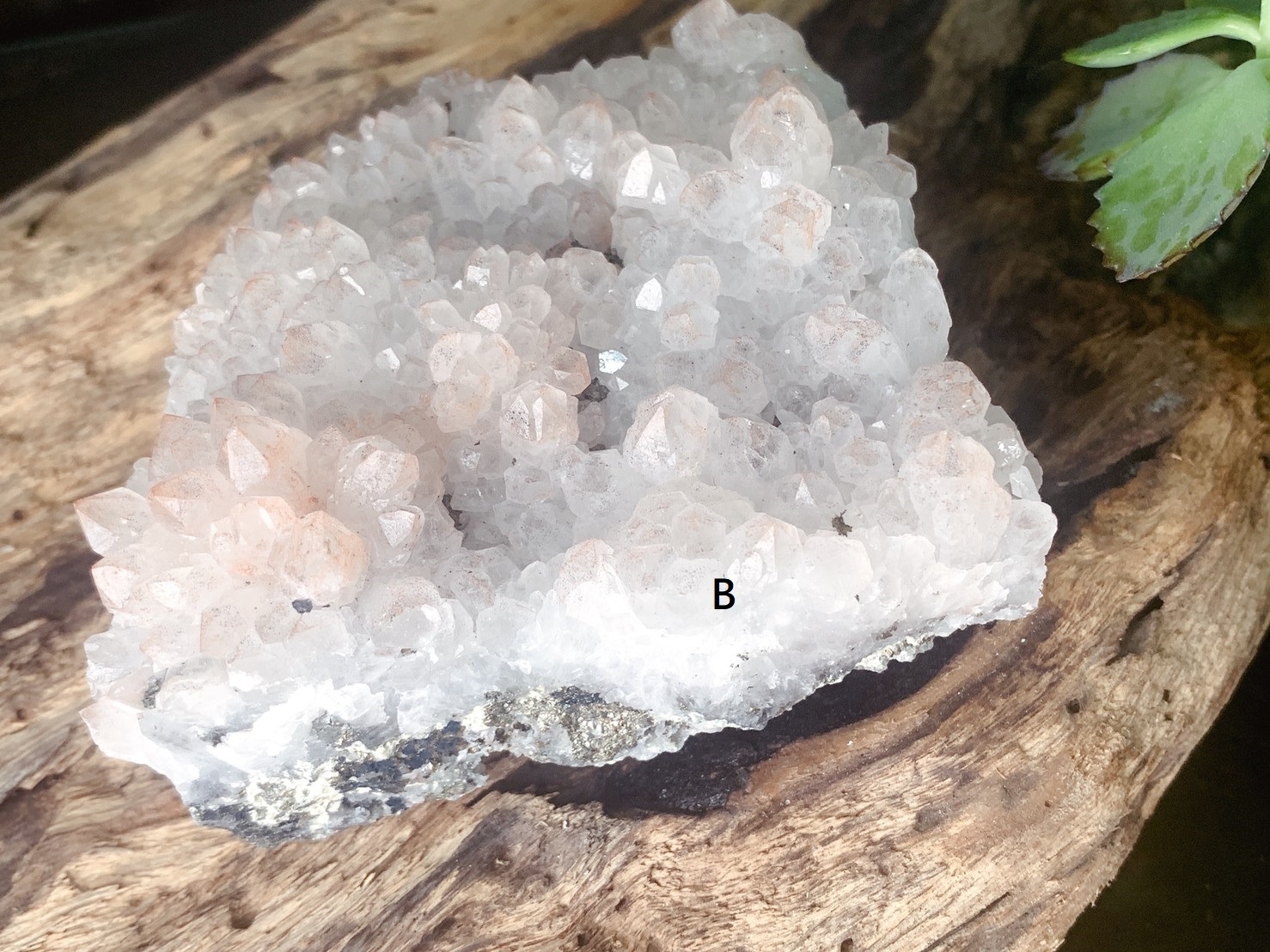 白水晶紅幽共生黃銅礦丨健康與財富兼備