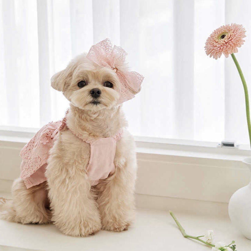 Blooming 亞麻蕾絲花朵裙-Peach 桃色-It’s sunny outside