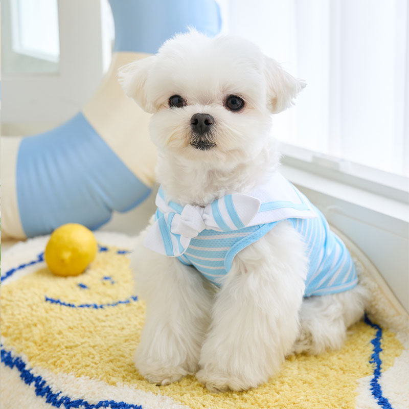 水手涼感cool無袖背心-sky天空藍- 韓國it’s  狗涼感衣 寵物夏季降溫涼感衣 夏天涼感服飾